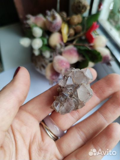 Друзы в асс