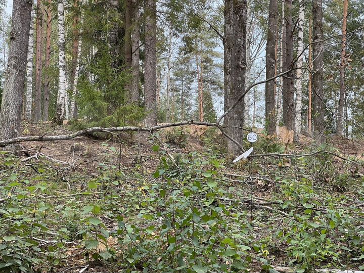 Участок 10 сот. (СНТ, ДНП)