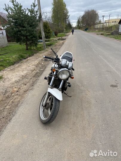 Suzuki bandit 250