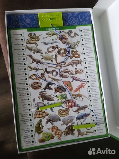 Интерактивная игра конектор conector Животный Мир