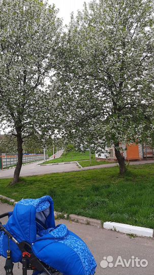 Коляска 2 в 1 Tako Jumper