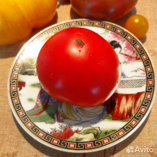 Семена коллекционных сортов томатов