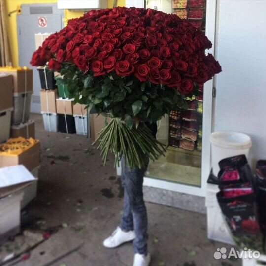 Эквадорские розы любой размер