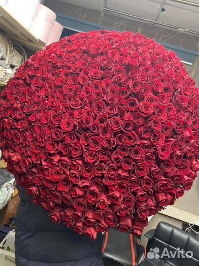 Роза 501 букет цветов с доставкой