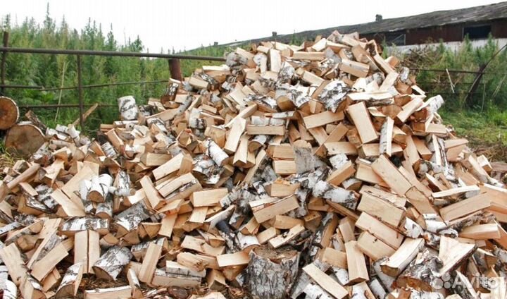 Дрова в баню