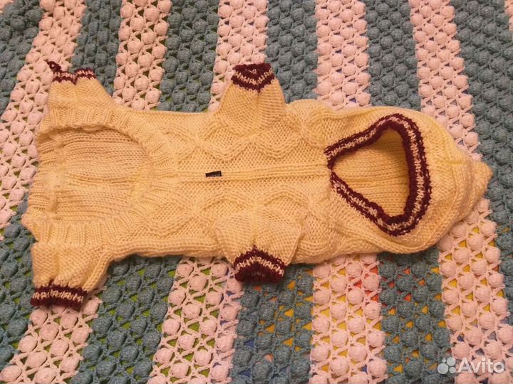 Новый комбез на маленькую собачку