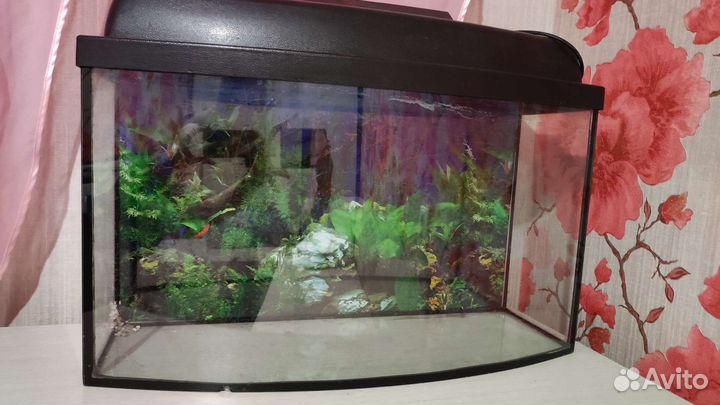 Аквариум
