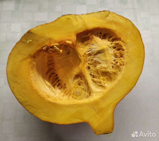 Семена тыквы Хоккайдо