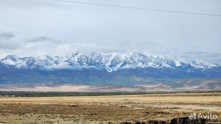 Гид по Алтаю, Экскурсии, Туры