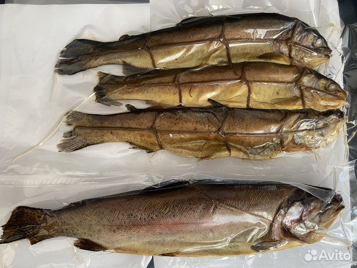 Рыба - форель, горячего и холодного копчения
