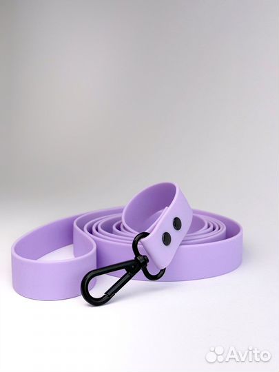 Ошейник и поводок для собак