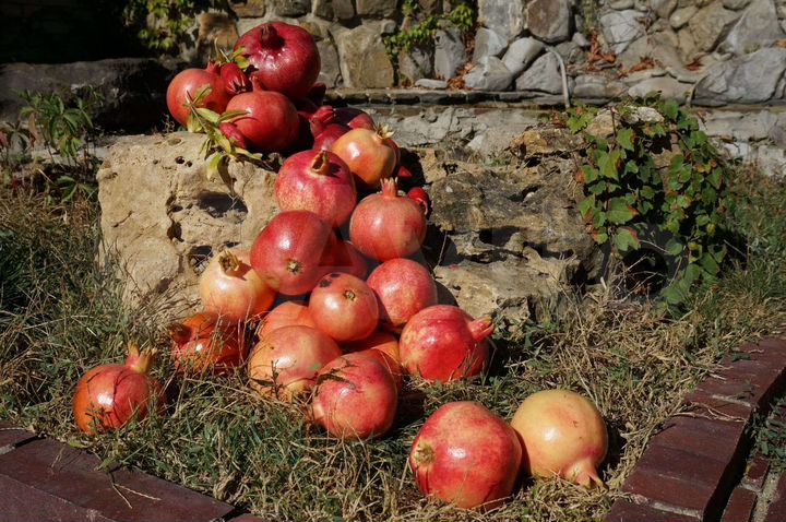 Мини гостиница 340 м кв