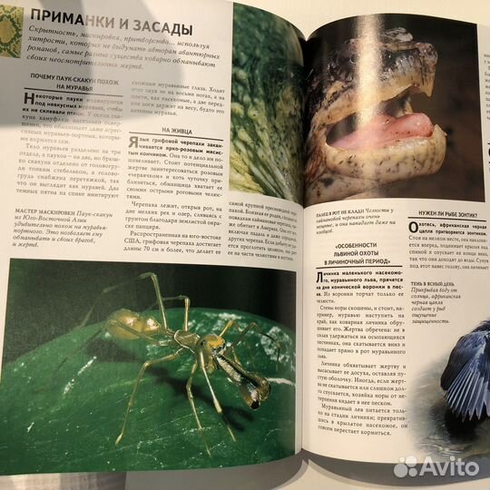 Книга '1000 чудес природы' Ридерз Дайджест. Новая