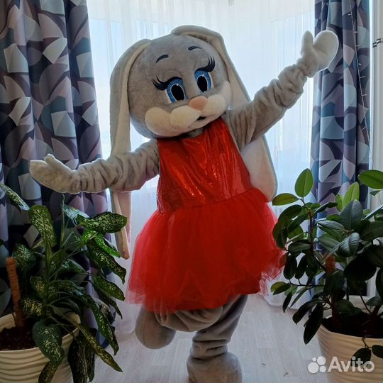 Поздравление от Зайки