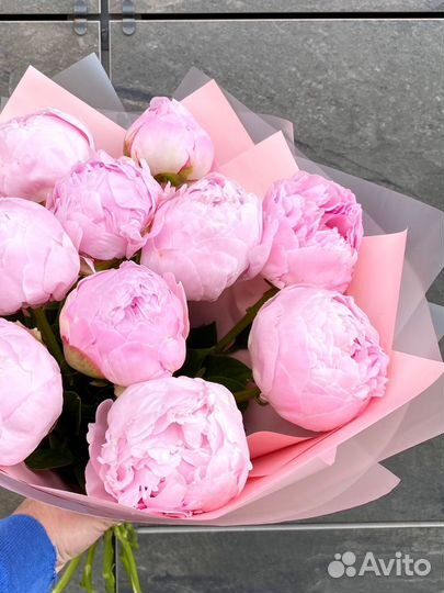 Букет пионы розовые премиум доставка