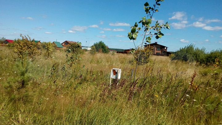 Участок 22 сот. (СНТ, ДНП)