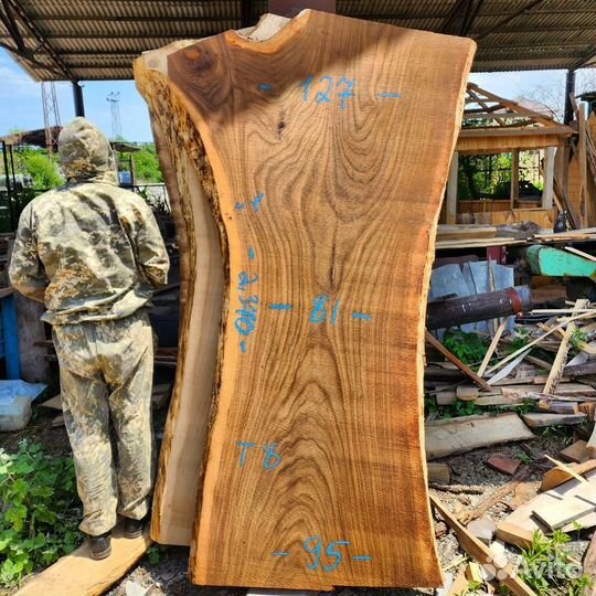 Слэбы карагач