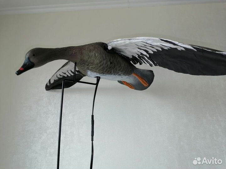 Чучело гуся махокрыла duck mania