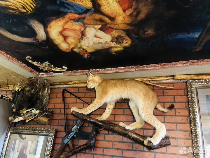 Рысь имитация