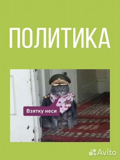 Огэ/егэ обществознание