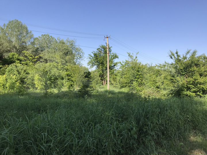 Участок 64 сот. (ИЖС)