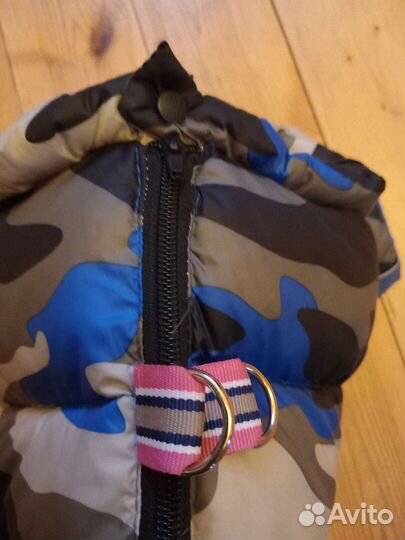 Одежда для собак новая