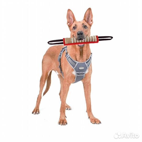 Игрушка палка для дрессировки