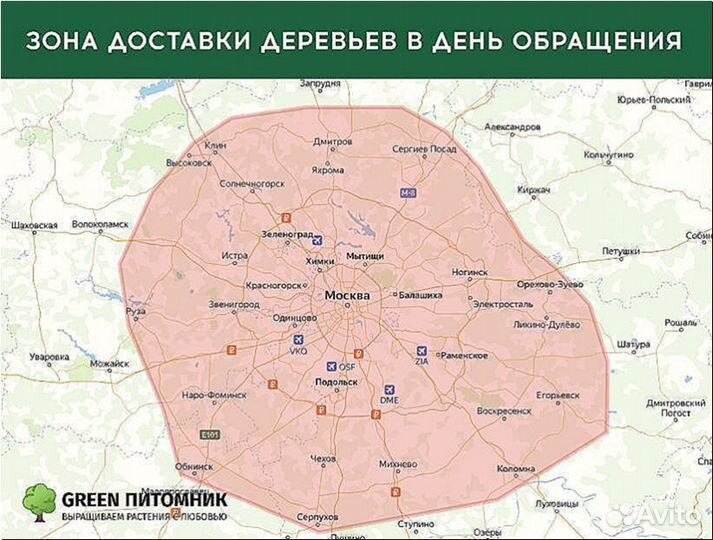 Деревья крупномеры