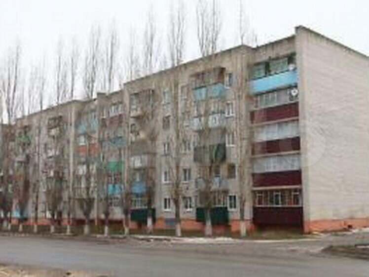Авито квартира чаплыгин
