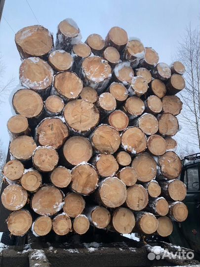 Лес кругляк / Дрова
