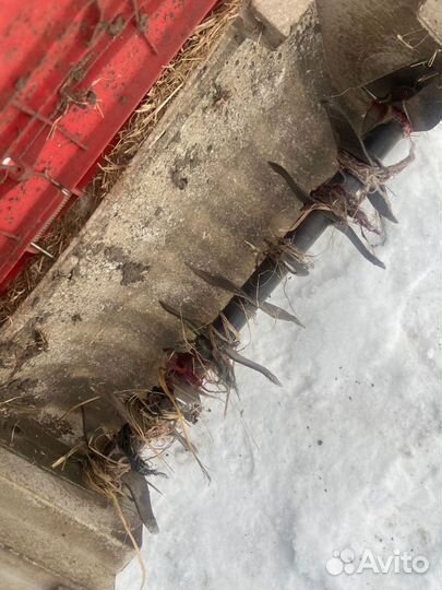 Газонокосилка электрическая