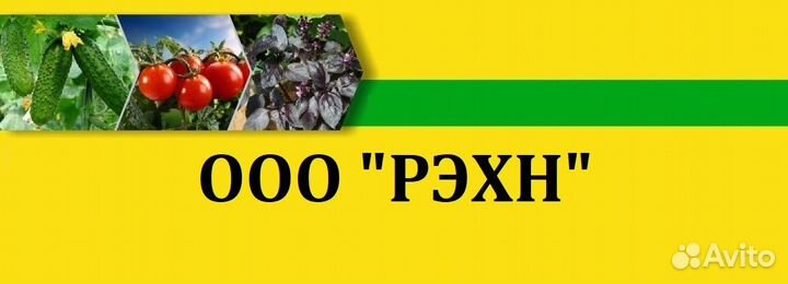Водитель категории Д