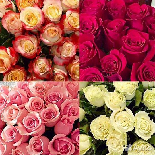 Цветы розы букет