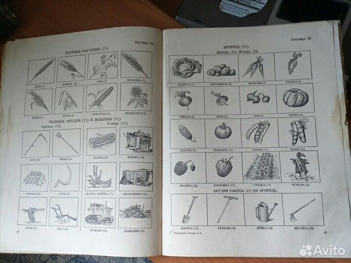 Старые книги, картинный словарь русского языка