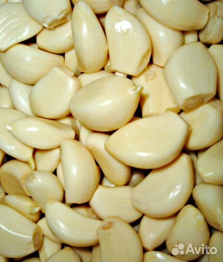 Чеснок очищенный крупный продам