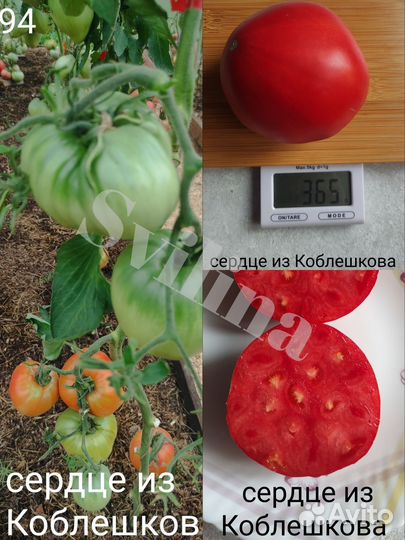 Семена томатов