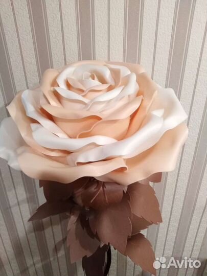 Ростовые цветы