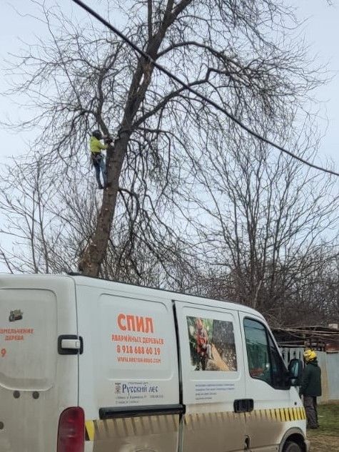 Renault Master: фото владельца