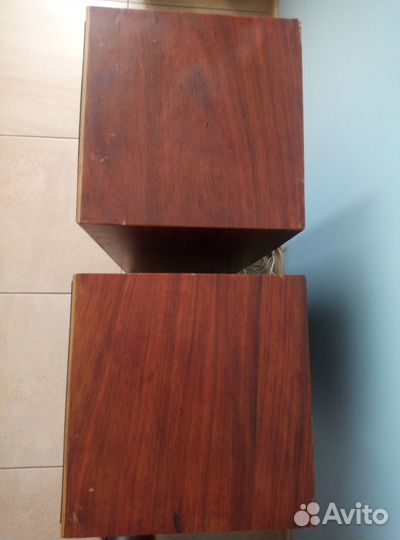 Колонки Вега стерео 25ас-109 2