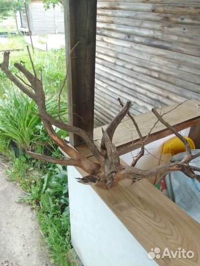 Коряга для аквариума