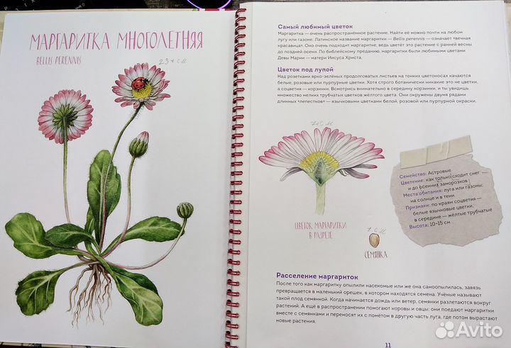 Про детство на кораблях. Вулканы. Научный комикс