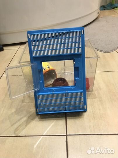 Контейнер для животных