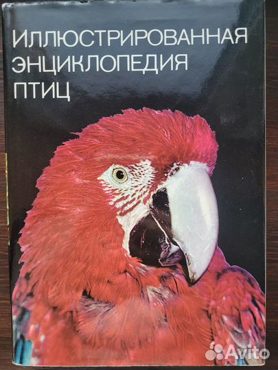 Энциклопедии