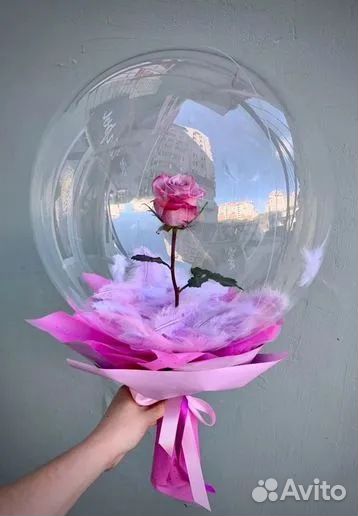 Живая роза в шаре