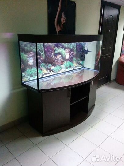 Аквариум 500 полукруглый, свет биофильтр тумба фон