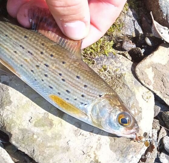 Ультралайт блёсны-турбинки