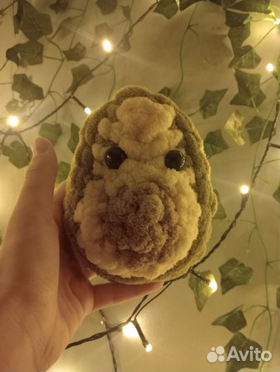 Вязаное авокадо