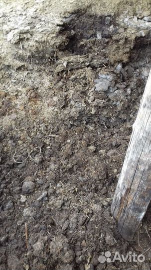 Конский перегной без опилок