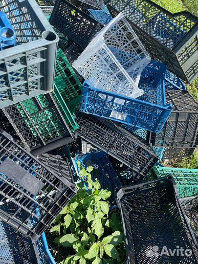 Пласмасовые яшики