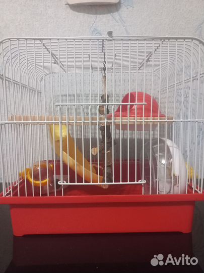 Клетка для хамяка